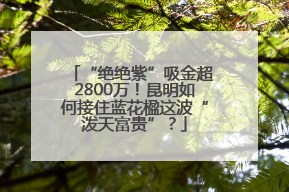 “绝绝紫”吸金超2800万！昆明如何接住蓝花楹这波“泼天富贵”？